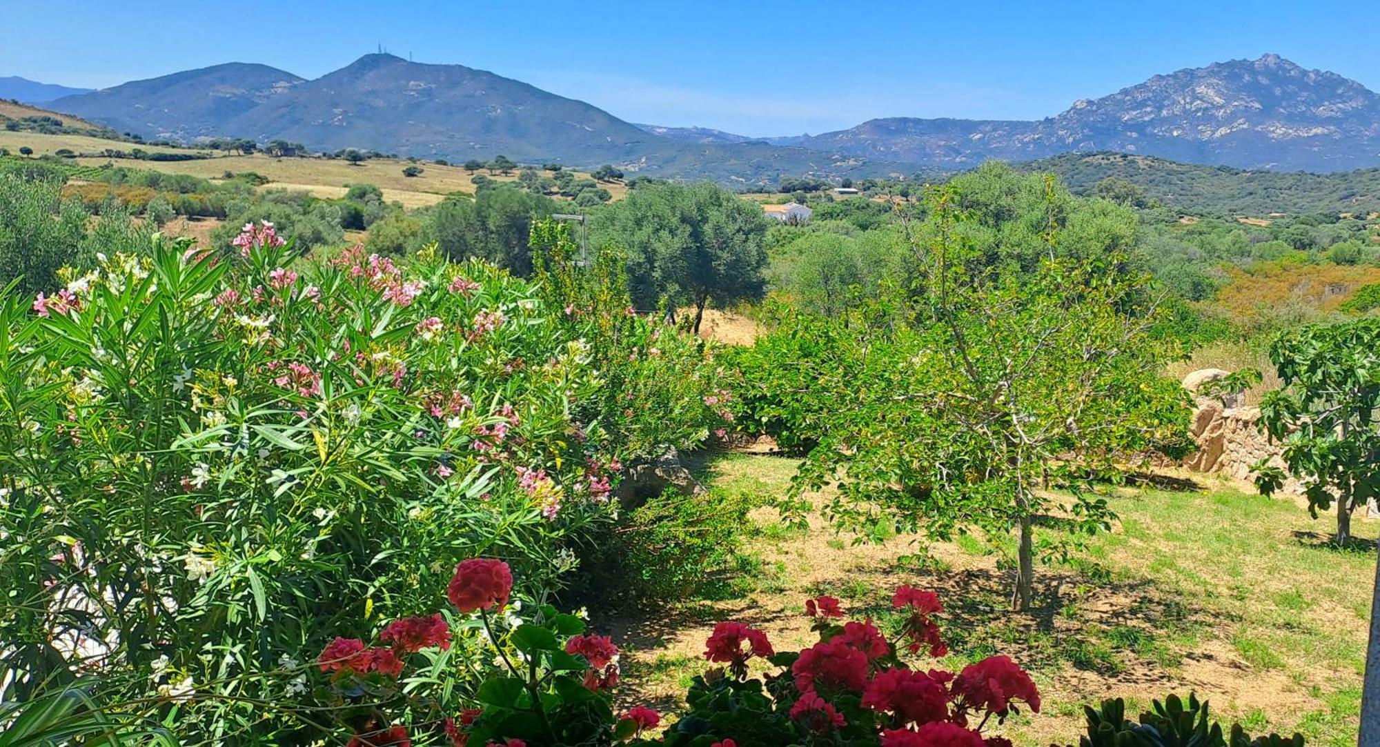 Casa Sole Villa Rudalza Szoba fotó